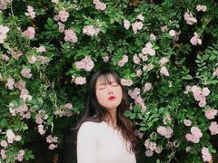 -白鹭湾湿地公园