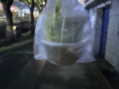 -夏食光安顺小舒冰粉冰浆(甲秀楼店)