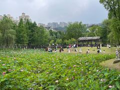 -沐仙湖湿地公园