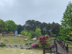 -铁山坪森林公园