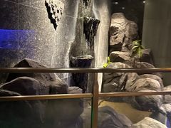 -慢享生活·汤泉SPA(同安城南店)