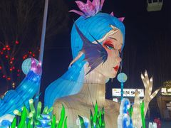 -北戴河集发农业梦想王国