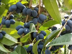 -寻龙山风景旅游区