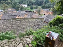-杨家堂村