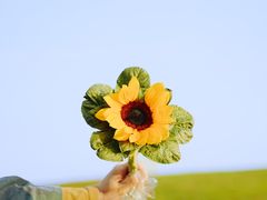 -大姆山草场