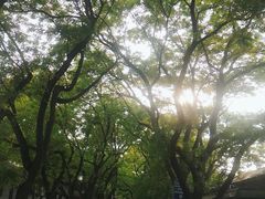 -北京国子监胡同