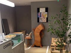 -Cappucimeow猫咪咖啡馆(韦伯时代店)