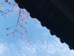 -望江楼公园
