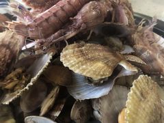 -港畔赶海蒸汽海鲜烧烤自助(仙螺岛店)