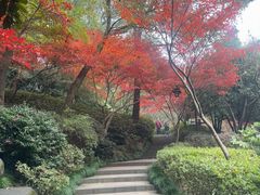 -杭州半山国家森林公园