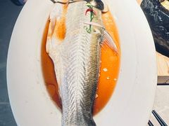 -醉庐·新上海菜(南京西路店)