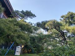 -龙华寺