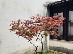 -留园