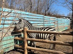 -大连森林动物园