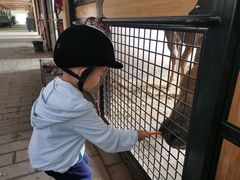 -北京群众马术培训基地