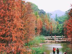 -云溪植物园