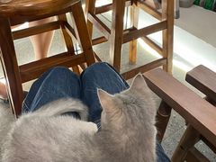 -J Create城市露营咖啡·简餐·宠物(上海动物园店)