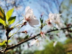 -长兴太湖图影湿地文化园