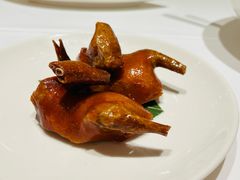 -茉里粤菜(皇姑万象汇店)