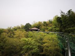 -陶祖圣境风景区