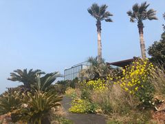 -Cafe Aewol Monsant