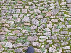 -上海市龙华烈士陵园