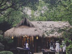-中国茶叶博物馆(双峰馆区)