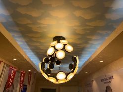 -紫洁俪方（北京）医疗美容