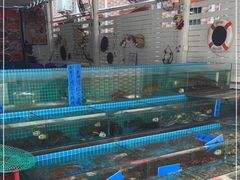 -瑶记海鲜餐厅(西涌店)