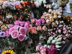 -循礼门鲜花花市(武汉循礼门店)