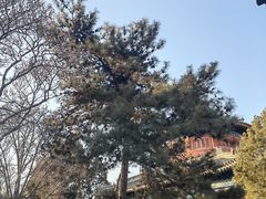 -大钟寺古钟博物馆