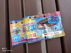 -辛玛王国游乐园