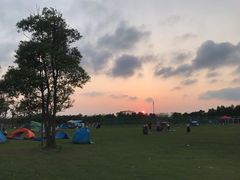 -春花秋色城市公园