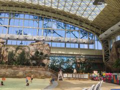 -杭州开元森泊度假乐园