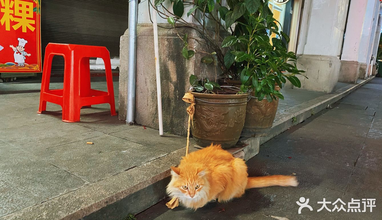 他说这里老房子多，意味着也多