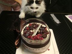 -SAYScake善食感戚风蛋糕(临江大道店)