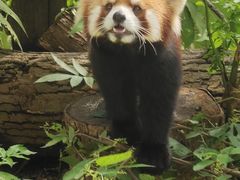 -杭州少年儿童公园