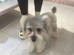 -FAELING PETS美天灵宠物(富力广场店)