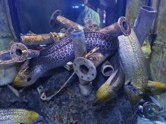 -成都浩海立方海洋公园