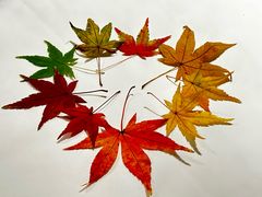 -刘长兴(逸仙桥店)