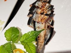 -黑松白鹿(金融街店)