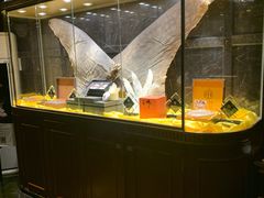 -半岛翡丽海鲜自助餐厅(观风亭店)