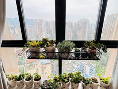 -叶老师古筝工作室(杨公桥店)