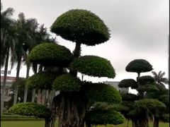 -北部湾广场