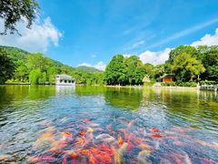 -广州市白云山风景名胜区