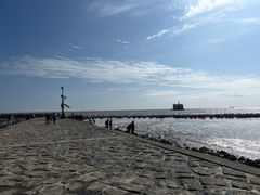 -南汇嘴观海公园