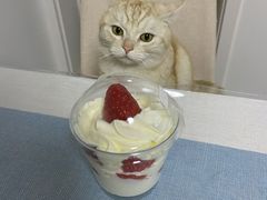 -克莉丝汀CHRISTINE(东川永平路店)