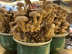 -捞王锅物料理(上海世茂广场店)