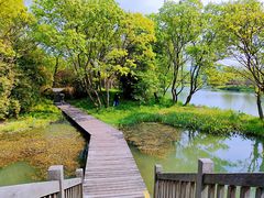 -西溪国家湿地公园