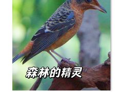 -苏州河梦清园环保主题公园